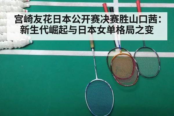 badminton final match